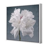 Art Prints Unique Peony on Blue Printed Wall Art