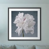 Art Prints Unique Peony on Blue Printed Wall Art