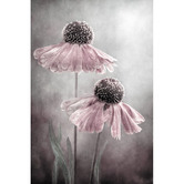 Art Prints Unique Duet Printed Wall Art