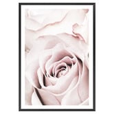 Art Prints Unique Pink Roses V Printed Wall Art