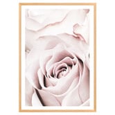 Art Prints Unique Pink Roses V Printed Wall Art