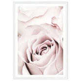 Art Prints Unique Pink Roses V Printed Wall Art