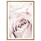 Art Prints Unique Pink Roses V Printed Wall Art