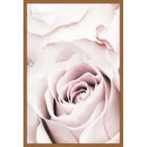 Art Prints Unique Pink Roses V Printed Wall Art