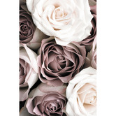 Art Prints Unique Roses Sepia I Printed Wall Art