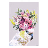 Art Prints Unique Pretty Cockatoo Printed Wall Art