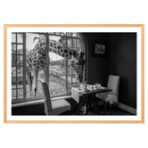 Art Prints Unique Breakfast Time Printed Wall Art