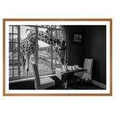 Art Prints Unique Breakfast Time Printed Wall Art