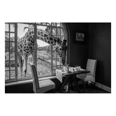 Art Prints Unique Breakfast Time Printed Wall Art
