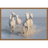 Art Prints Unique Horses Printed Wall Art
