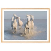 Art Prints Unique Horses Printed Wall Art