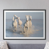 Art Prints Unique Horses Printed Wall Art