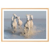 Art Prints Unique Horses Printed Wall Art