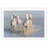 Art Prints Unique Horses Printed Wall Art