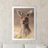 Art Prints Unique The Beautiful Roo Printed Wall Art