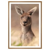 Art Prints Unique The Beautiful Roo Printed Wall Art