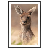 Art Prints Unique The Beautiful Roo Printed Wall Art