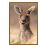 Art Prints Unique The Beautiful Roo Printed Wall Art