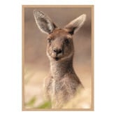 Art Prints Unique The Beautiful Roo Printed Wall Art