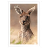Art Prints Unique The Beautiful Roo Printed Wall Art