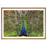 Art Prints Unique Peacock Printed Wall Art