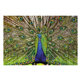 Art Prints Unique Peacock Printed Wall Art