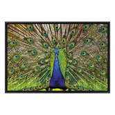Art Prints Unique Peacock Printed Wall Art