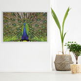 Art Prints Unique Peacock Printed Wall Art