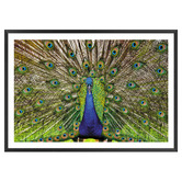 Art Prints Unique Peacock Printed Wall Art