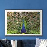 Art Prints Unique Peacock Printed Wall Art