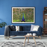 Art Prints Unique Peacock Printed Wall Art