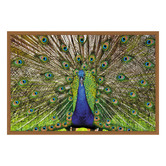 Art Prints Unique Peacock Printed Wall Art