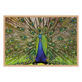 Art Prints Unique Peacock Printed Wall Art