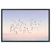 Art Prints Unique Sunset Flight Printed Wall Art