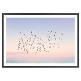 Art Prints Unique Sunset Flight Printed Wall Art
