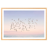 Art Prints Unique Sunset Flight Printed Wall Art