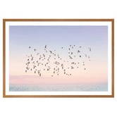 Art Prints Unique Sunset Flight Printed Wall Art