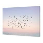 Art Prints Unique Sunset Flight Printed Wall Art