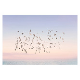 Art Prints Unique Sunset Flight Printed Wall Art