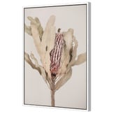Art Prints Unique Banksia Printed Wall Art