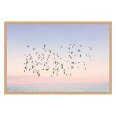 Art Prints Unique Sunset Flight Printed Wall Art