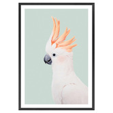 Art Prints Unique Cockatoo Printed Wall Art