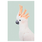 Art Prints Unique Cockatoo Printed Wall Art