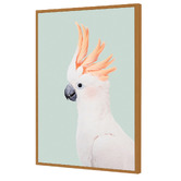 Art Prints Unique Cockatoo Printed Wall Art
