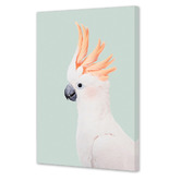 Art Prints Unique Cockatoo Printed Wall Art