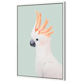 Art Prints Unique Cockatoo Printed Wall Art