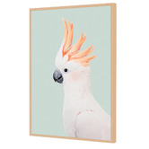 Art Prints Unique Cockatoo Printed Wall Art