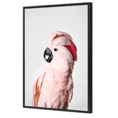 Art Prints Unique Pink Cockatoo Printed Wall Art
