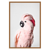 Art Prints Unique Pink Cockatoo Printed Wall Art