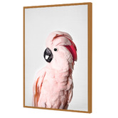 Art Prints Unique Pink Cockatoo Printed Wall Art